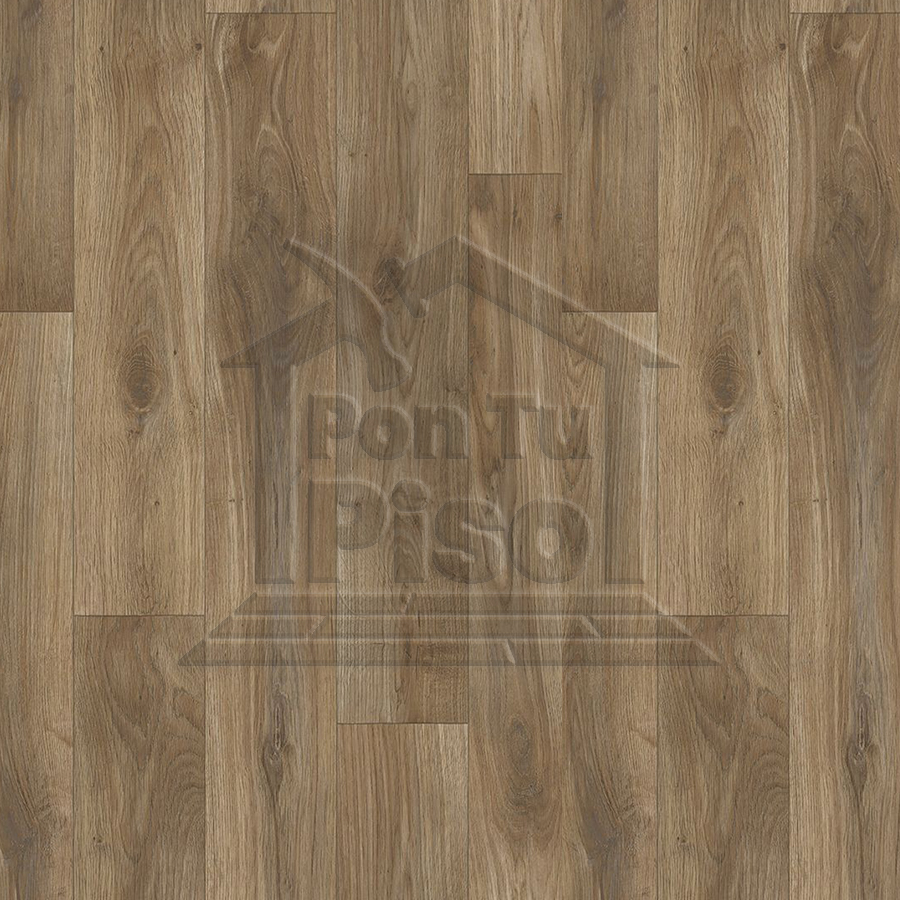 DELTA DYNASTY PIN OAK 619M 4M