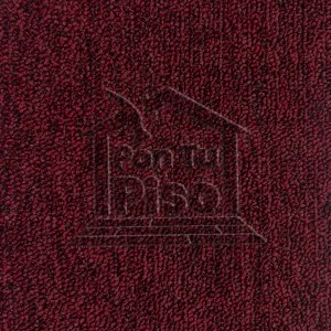 ROOD 16
